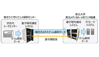 量子暗号通信技術で全ゲノム配列データの伝送に成功 東芝とtommo 週刊bcn